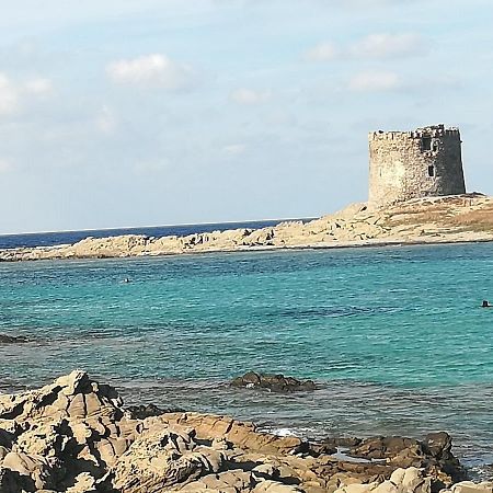 Incantevole Appartamento Sole, In Centro Stintino Εξωτερικό φωτογραφία